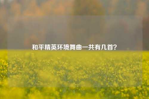 和平精英环境舞曲一共有几首?