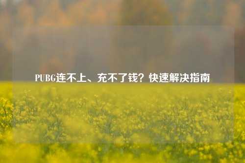 PUBG连不上、充不了钱？快速解决指南
