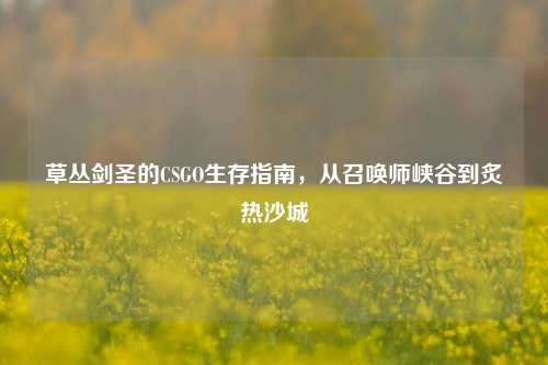 草丛剑圣的CSGO生存指南，从召唤师峡谷到炙热沙城