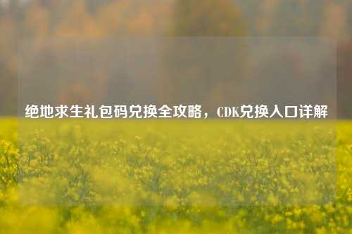 绝地求生礼包码兑换全攻略，CDK兑换入口详解