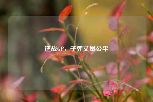 逆战GP，子弹丈量公平