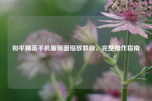 和平精英手机版画面缩放教程,完整操作指南