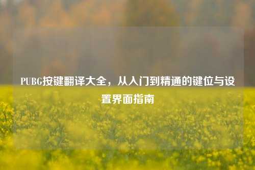 PUBG按键翻译大全，从入门到精通的键位与设置界面指南
