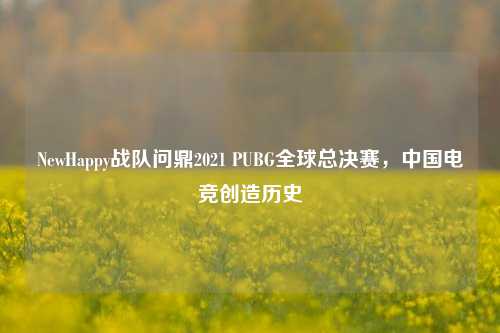 NewHappy战队问鼎2021 PUBG全球总决赛,中国电竞创造历史