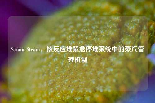 Scram Steam,核反应堆紧急停堆系统中的蒸汽管理机制