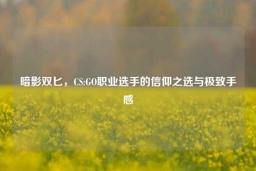 暗影双匕，CS:GO职业选手的信仰之选与极致手感