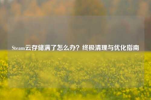 Steam云存储满了怎么办?终极清理与优化指南