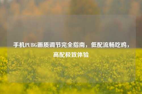 手机PUBG画质调节完全指南，低配流畅吃鸡，高配极致体验