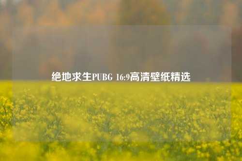 绝地求生PUBG 16:9高清壁纸精选
