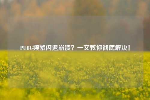 PUBG频繁闪退崩溃？一文教你彻底解决！