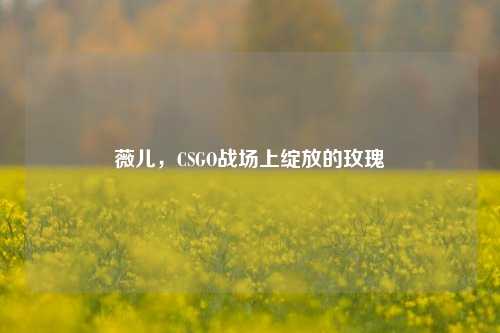 薇儿，CSGO战场上绽放的玫瑰