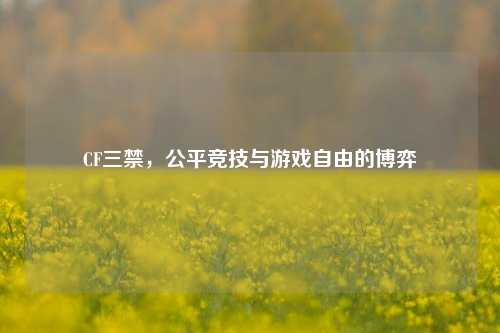 CF三禁,公平竞技与游戏自由的博弈