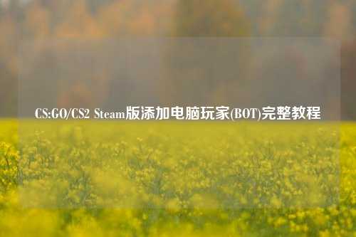 CS:GO/CS2 Steam版添加电脑玩家(BOT)完整教程