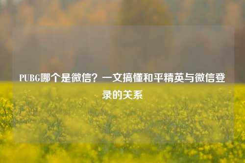 PUBG哪个是微信？一文搞懂和平精英与微信登录的关系