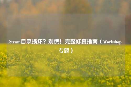 Steam目录损坏?别慌!完整修复指南(Workshop专题)