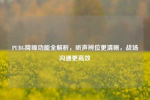 PUBG降噪功能全解析，听声辨位更清晰，战场沟通更高效
