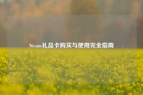 Steam礼品卡购买与使用完全指南