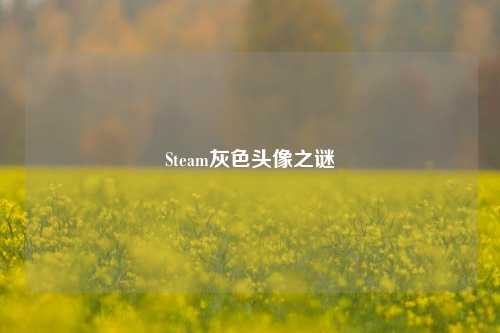 Steam灰色头像之谜