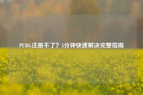PUBG注册不了？5分钟快速解决完整指南