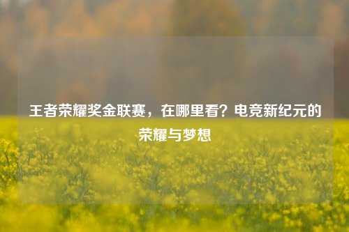 王者荣耀奖金联赛，在哪里看？电竞新纪元的荣耀与梦想