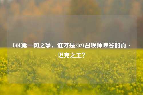 LOL之一肉之争，谁才是2021召唤师峡谷的真·坦克之王？
