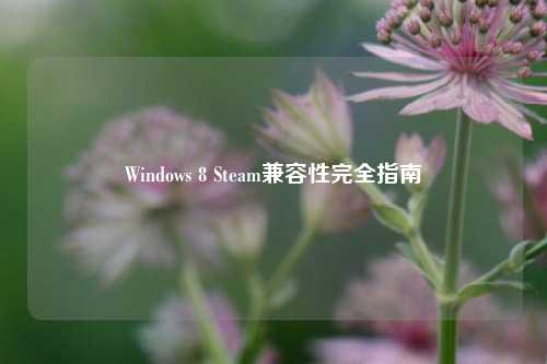 Windows 8 Steam兼容性完全指南