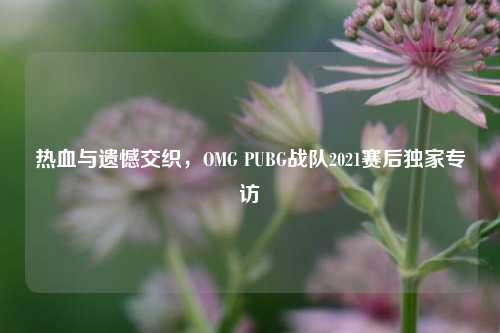 热血与遗憾交织，OMG PUBG战队2021赛后独家专访