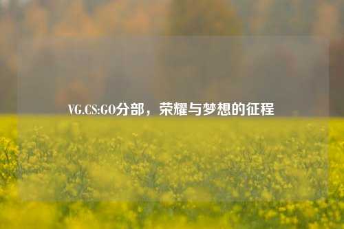 VG.CS:GO分部，荣耀与梦想的征程