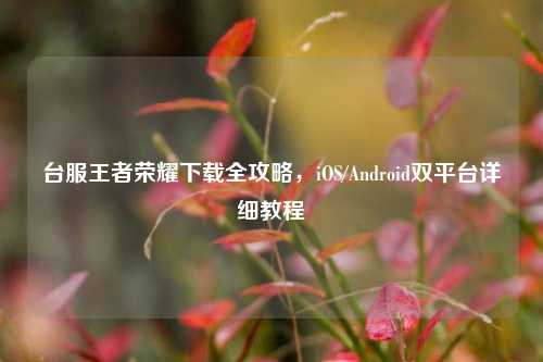 台服王者荣耀下载全攻略，iOS/Android双平台详细教程