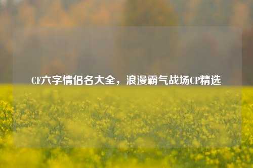 CF六字情侣名大全,浪漫霸气战场CP精选