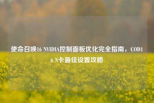 使命召唤16 NVIDIA控制面板优化完全指南，COD16 N卡更佳设置攻略