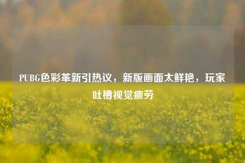 PUBG色彩革新引热议，新版画面太鲜艳，玩家吐槽视觉疲劳