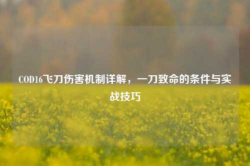 COD16飞刀伤害机制详解，一刀致命的条件与实战技巧