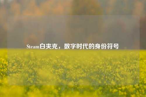 Steam白夹克，数字时代的身份符号