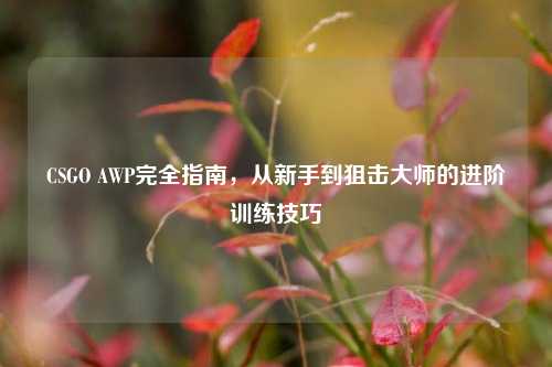 CSGO AWP完全指南,从新手到狙击大师的进阶训练技巧