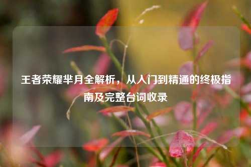 王者荣耀芈月全解析，从入门到精通的终极指南及完整台词收录