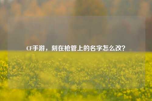 CF手游,刻在枪管上的名字怎么改?