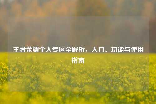 王者荣耀个人专区全解析,入口、功能与使用指南
