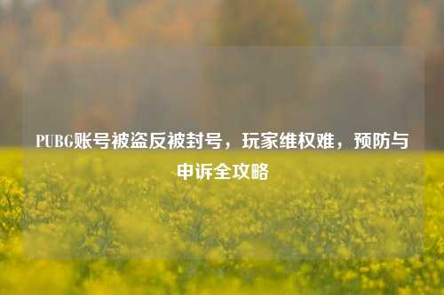 PUBG账号被盗反被封号，玩家 *** 难，预防与申诉全攻略