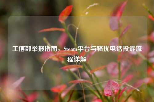 工信部举报指南,Steam平台与骚扰 *** 投诉流程详解