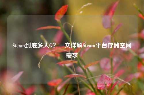 Steam到底多大G？一文详解Steam平台存储空间需求