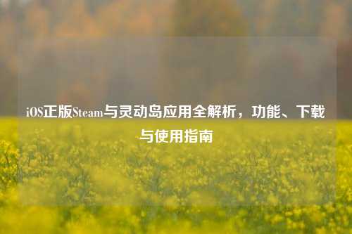iOS正版Steam与灵动岛应用全解析,功能、下载与使用指南