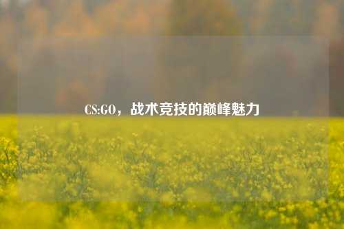 CS:GO，战术竞技的巅峰魅力
