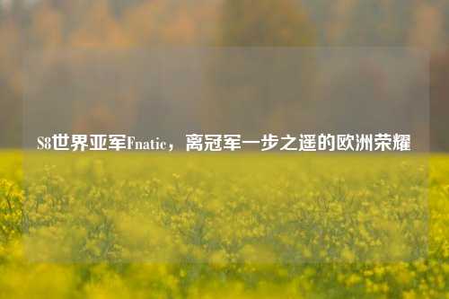 S8世界亚军Fnatic,离冠军一步之遥的欧洲荣耀