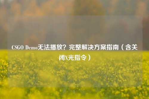 CSGO Demo无法播放？完整解决方案指南（含关闭X光指令）