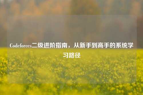 Codeforces二级进阶指南，从新手到高手的系统学习路径