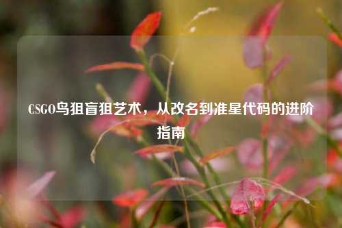 CSGO鸟狙盲狙艺术,从改名到准星代码的进阶指南