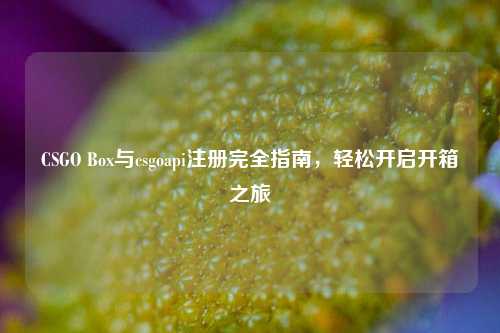 CSGO Box与csgoapi注册完全指南，轻松开启开箱之旅