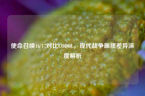 使命召唤16/17对比CODOL，现代战争画质差异深度解析