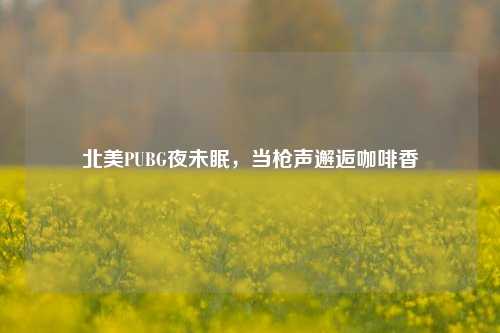 北美PUBG夜未眠，当枪声邂逅咖啡香